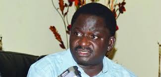 Femi Adesina