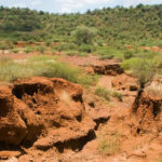 Effects-of-Soil-Erosion-on-Biodiversity-1