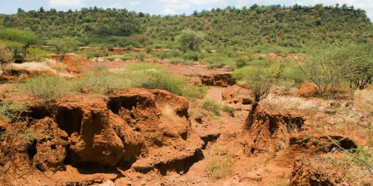 Effects-of-Soil-Erosion-on-Biodiversity-1