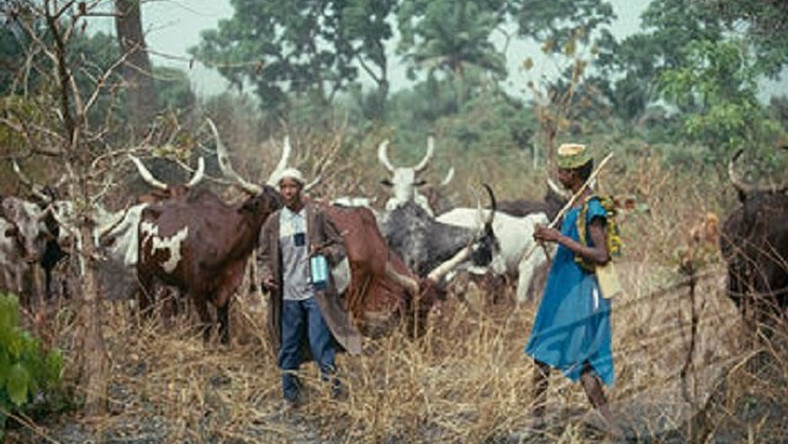 Herdsmen