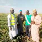 Yobe Farmers