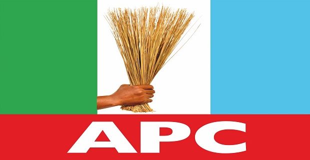 APC Logo