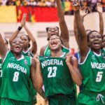 DTigress-Afrobasket