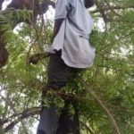 Mr-John-Antagav-hanging-on-the-tree