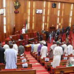 Nigerian-Senate-during-plenary