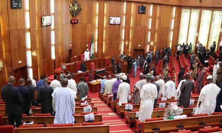 Nigerian-Senate-during-plenary