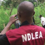 ndlea