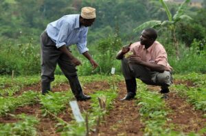 Agric
