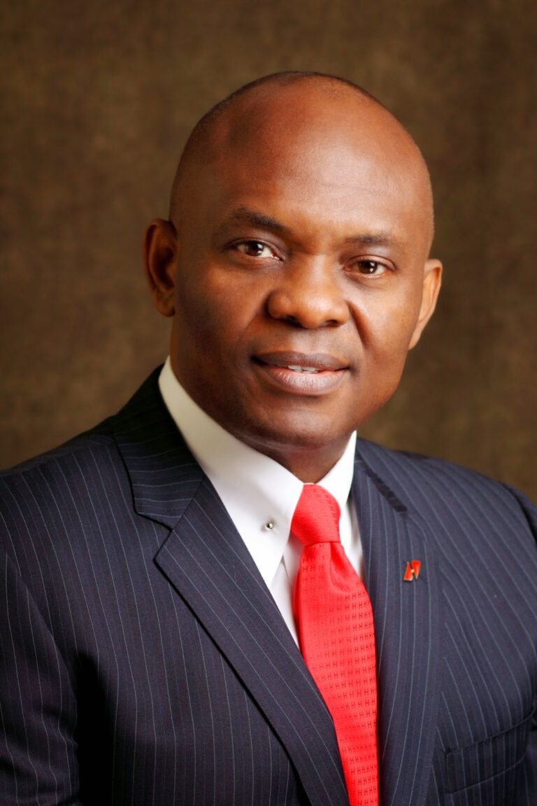 Tony Elumelu Official Picture