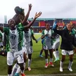 Falconets new