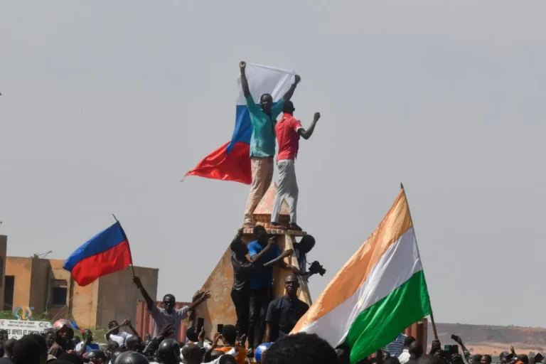 Niger Demonstrators