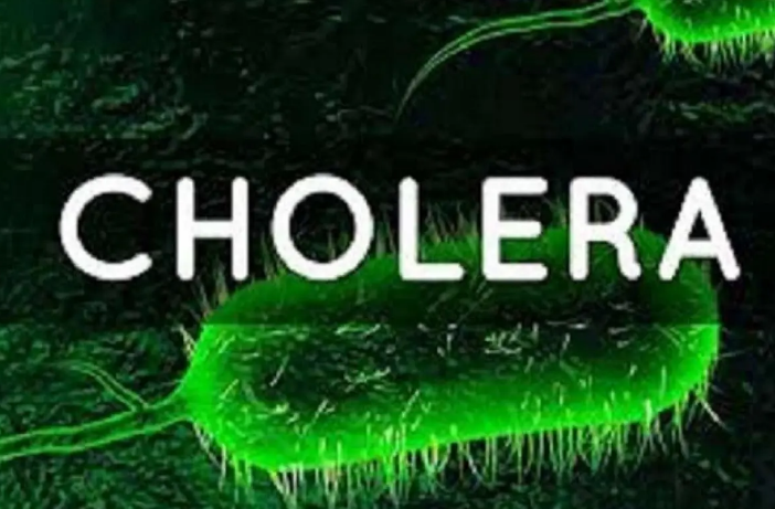 cholera