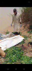 Body from Attack