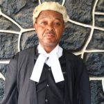 Fake Lawyer