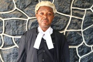 Fake Lawyer